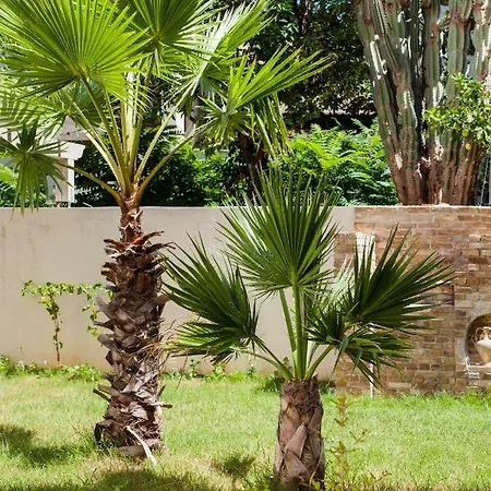 Canvas 2 홈스테이 *